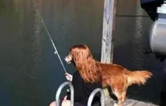 �������Ц��ͼƬ ���������������ñ�����ɱ��