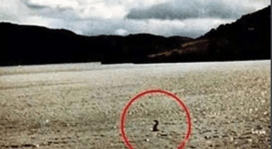 青海湖水怪长什么样子图片 惊现水怪真面目真实照片