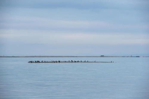 ����ԡ������Ů����ʲô��˼ ȫ������ԡ������ǰʮ