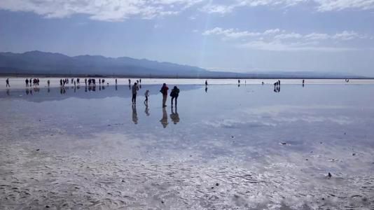 青海湖水怪长什么样子图片 惊现水怪真面目真实照片