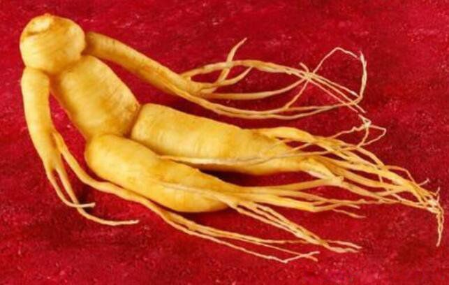 Ŀǰ����������ϵ��˲� �������ִ����ϵ��˲���ʲô