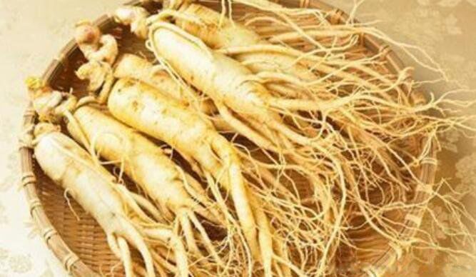 Ŀǰ����������ϵ��˲� �������ִ����ϵ��˲���ʲô