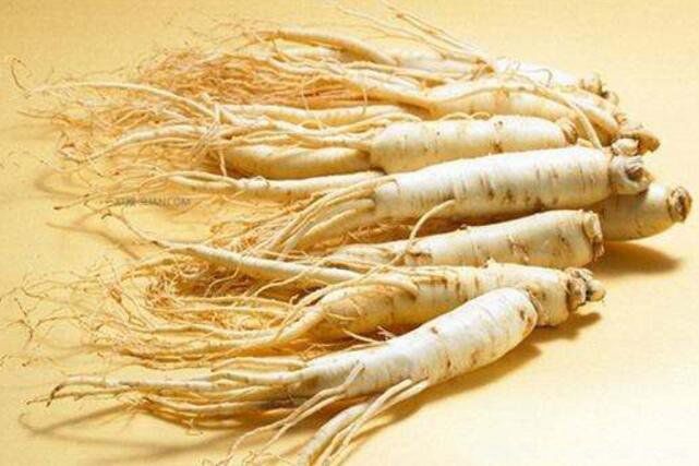 Ŀǰ����������ϵ��˲� �������ִ����ϵ��˲���ʲô