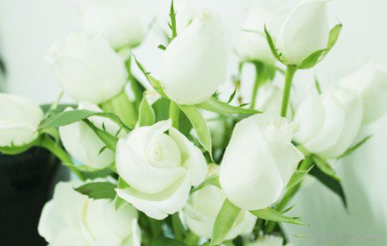 ����õ�����ʲô��˼ Ϊɶ�����������