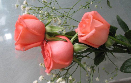 ����õ�����ʲô��˼ Ϊɶ�����������