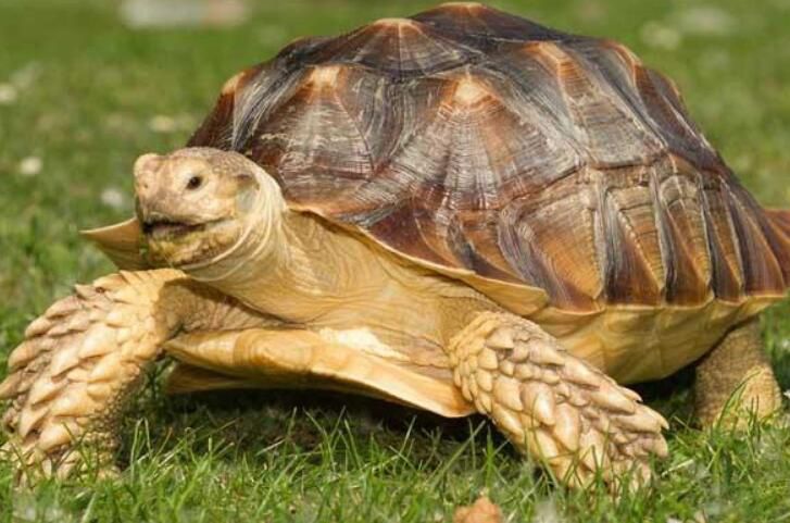 ������Ķ��������� �����������ǰʮ�������а�