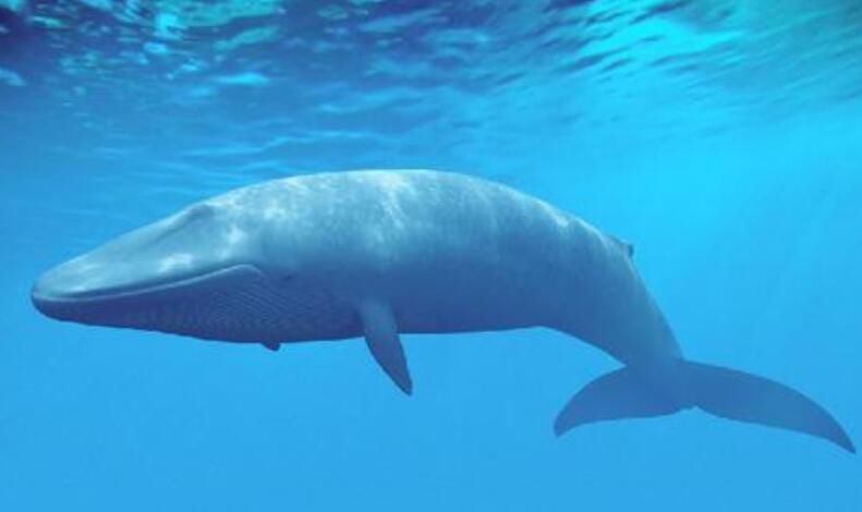 ������Ķ��������� �����������ǰʮ�������а�