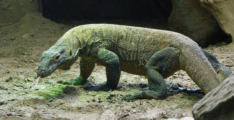 ������Ķ��������� �����������ǰʮ�������а�