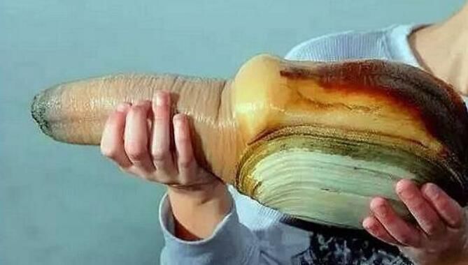 ������Ķ��������� �����������ǰʮ�������а�