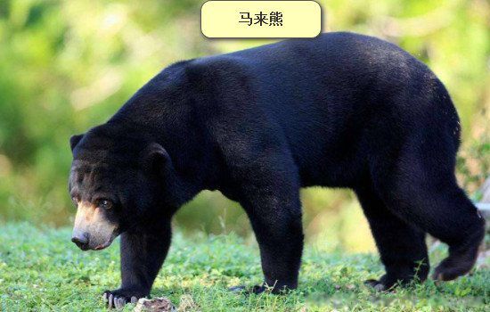 水鬼真的存在吗 真正水鬼拖人下水案例是真是假