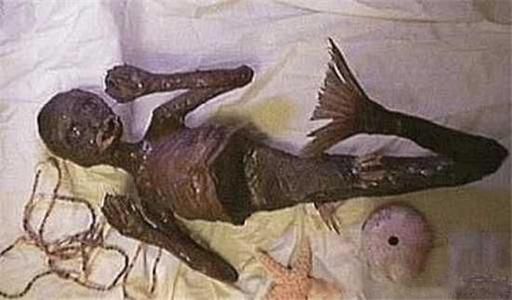 美人鱼是怎么回事 美人鱼的真实样子照片恐怖