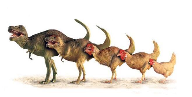 ���м����е���ȷ����ʲô �������м��������е���ѧ���Ǹ�����