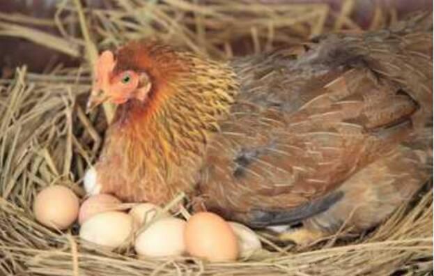 ���м����е���ȷ����ʲô �������м��������е���ѧ���Ǹ�����