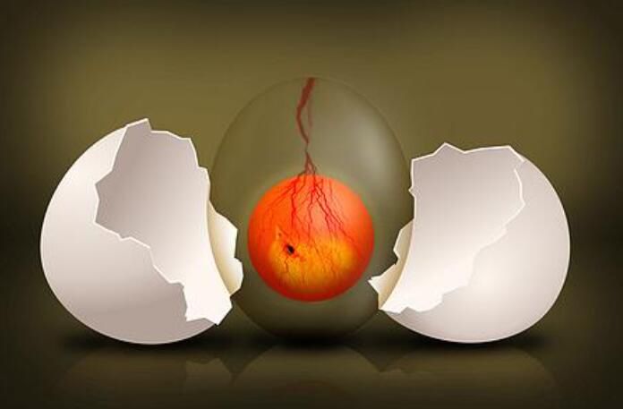 ���м����е���ȷ����ʲô �������м��������е���ѧ���Ǹ�����