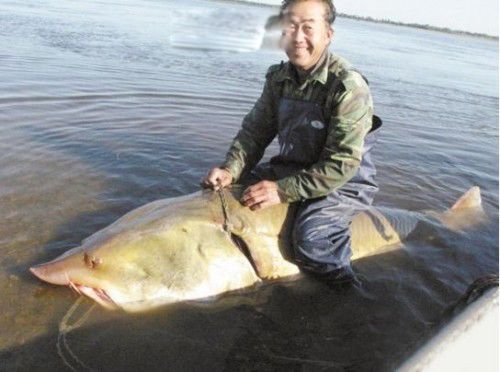 ����ͼƬ��ȫ��ʲô�� ��������ʲô����