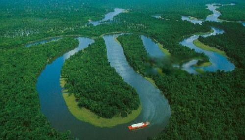 �������ɭ��������� ȫ���������ɭ����ʲô