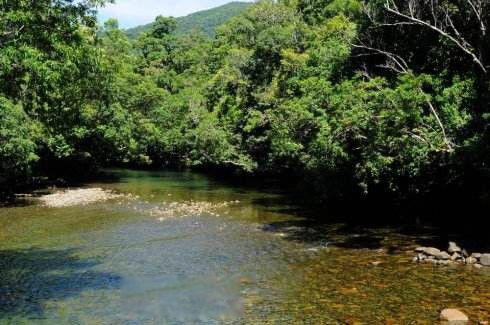 �������ɭ��������� ȫ���������ɭ����ʲô