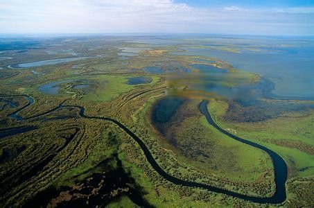 �������ɭ��������� ȫ���������ɭ����ʲô