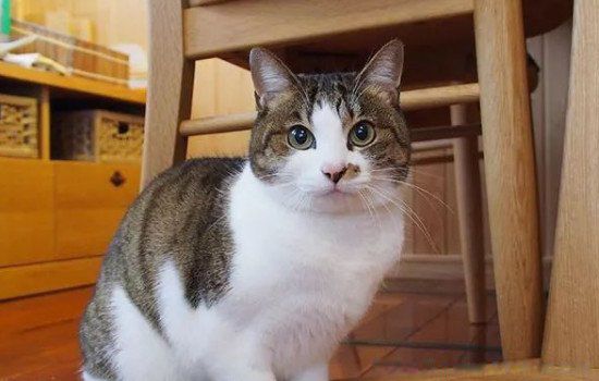 �����й���������ʲô ��α������Ƿ��й�