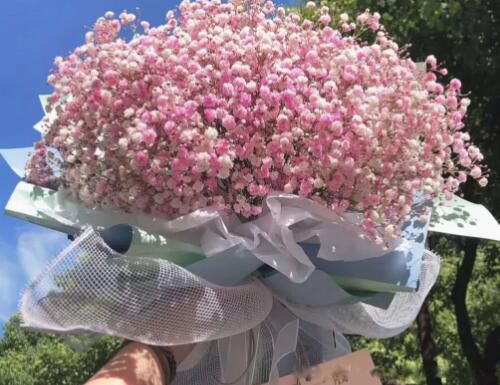彼岸花的寓意和花语又叫什么 传说中彼岸花有一个凄美的故事