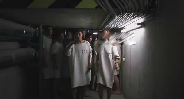 ˹̹������ʵ��˵��ʲôЧӦ ���̵�˹̹������ʵ�����ʾ��Ӧ��