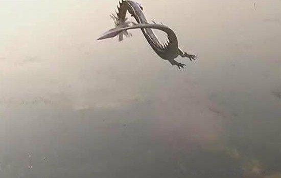 ������ʵ���ڵ��� ����������˻��Ǹ���������