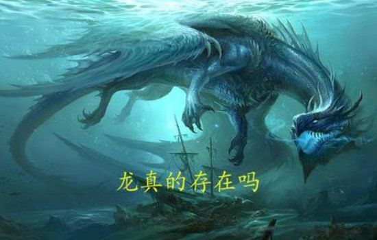 ������ʵ���ڵ��� ����������˻��Ǹ���������