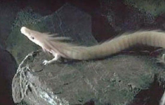 ������ʵ���ڵ��� ����������˻��Ǹ���������