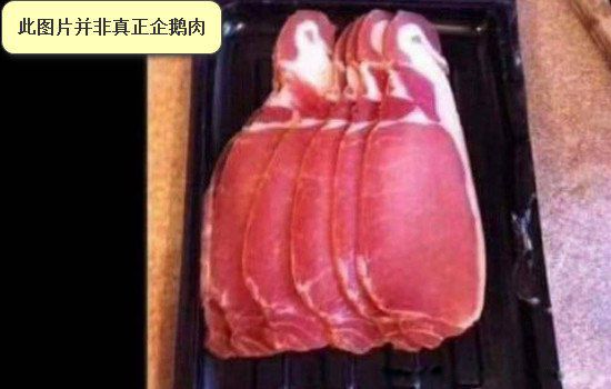 企鹅肉能吃吗 为什么人类不吃企鹅呢