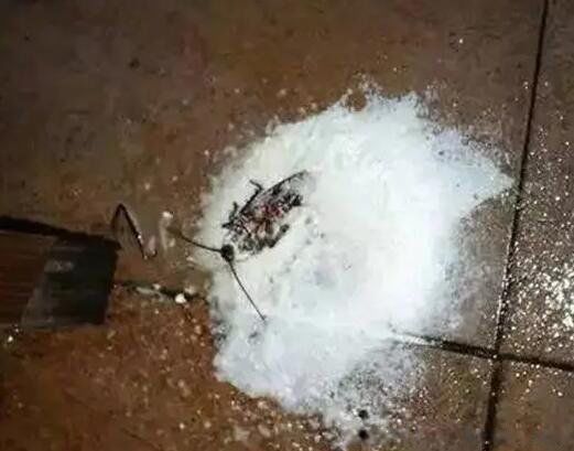 ��ͥ������������Ч�ķ��� ����ȥ�������ɾ����׵ķ���