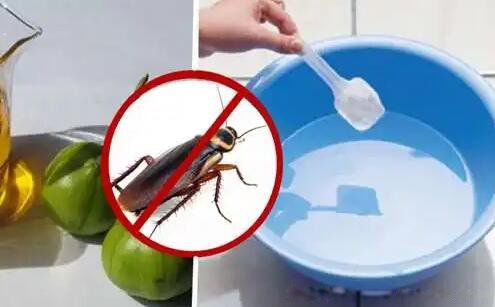 ��ͥ������������Ч�ķ��� ����ȥ�������ɾ����׵ķ���