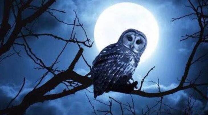 �����Ǽ��㵽���� ������ҹ������ָ����ʲôʱ��