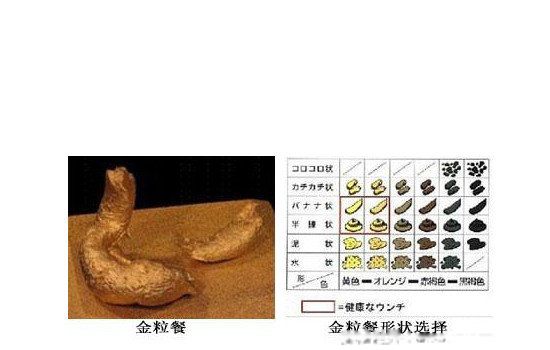 ��������ʲô���� �ձ���������Ů�����ֳ������Ǽ�