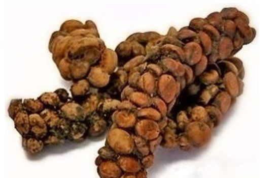 金粒餐是什么东西 日本金粒餐少女现拉现吃是真是假