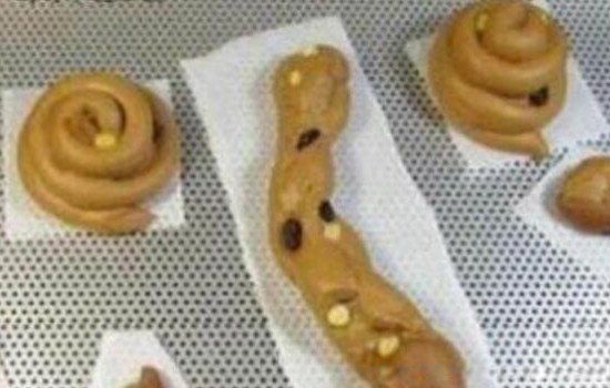 ��������ʲô���� �ձ���������Ů�����ֳ������Ǽ�