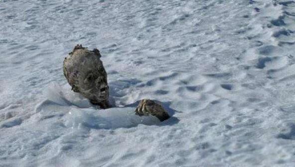 ��³��ѩ����������һ�� 1970����³��ѩ����������