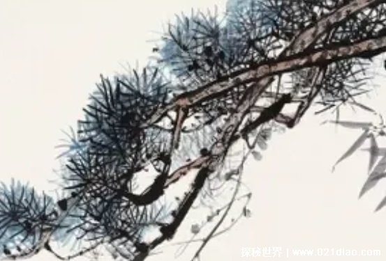 �꺮����ָ����ʲôֲ�� ÷��ѩ��ʲô����Ϊ�꺮����