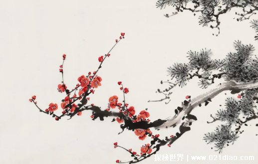 �꺮����ָ����ʲôֲ�� ÷��ѩ��ʲô����Ϊ�꺮����