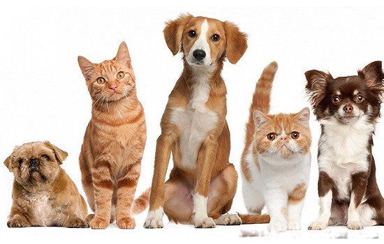 �����ܴ�����׾� �����������Դ���ƿ�׾�