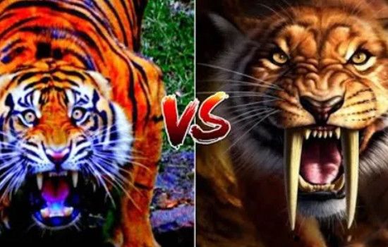 ���ݻ��Ͷ�����˭���� ���ݻ�vs��������һ��˭��Ӯ