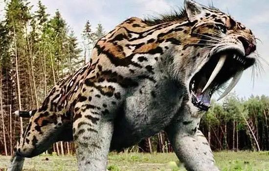 ���ݻ��Ͷ�����˭���� ���ݻ�vs��������һ��˭��Ӯ