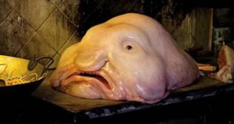 ˮ���������˵�ͼƬ ��ʲô���ӿ��Գ���