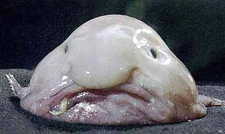 ˮ���������˵�ͼƬ ��ʲô���ӿ��Գ���