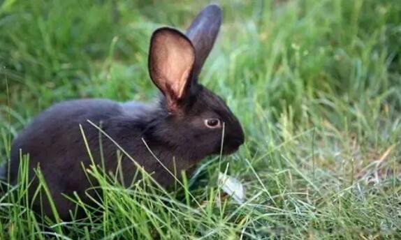 2023��������������ʲô 2023���Ǻ��������˺���