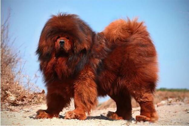 �й��������Ĺ�ʮ������ �����͵�Ȯ���а�ǰʮ��