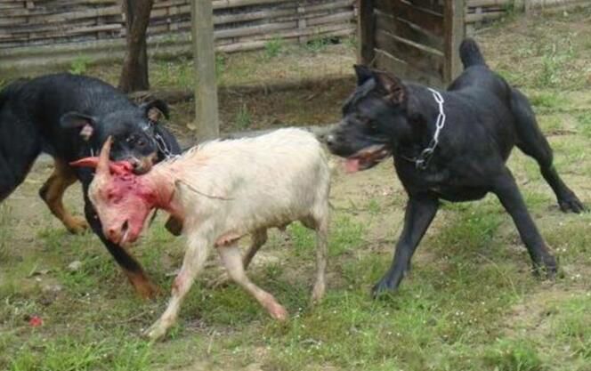 �й��������Ĺ�ʮ������ �����͵�Ȯ���а�ǰʮ��