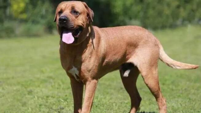 �й��������Ĺ�ʮ������ �����͵�Ȯ���а�ǰʮ��