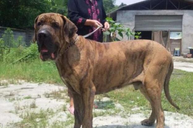 �й��������Ĺ�ʮ������ �����͵�Ȯ���а�ǰʮ��