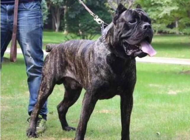 �й��������Ĺ�ʮ������ �����͵�Ȯ���а�ǰʮ��