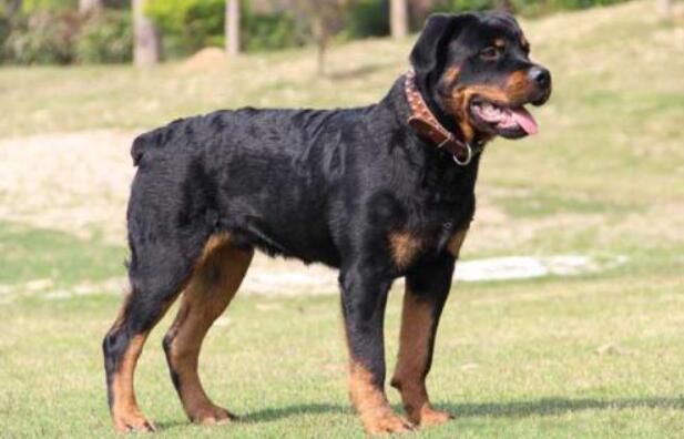 �й��������Ĺ�ʮ������ �����͵�Ȯ���а�ǰʮ��